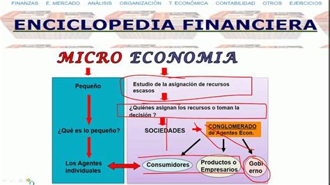 Descubre la importancia de la microeconomía y su impacto en tu vida