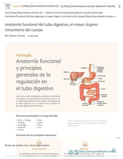 Anatomía funcional del tubo digestivo Patricia Terriquez Peralta uDocz