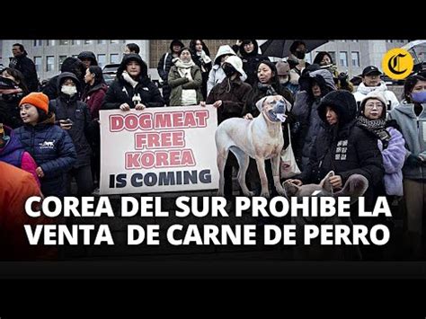 Video Corea Del Sur Aprueba Ley Para Prohibir El Comercio Y Consumo De