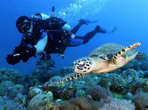 Chuuk Lagoon Micronesia A Wreck Divers Dream Destination