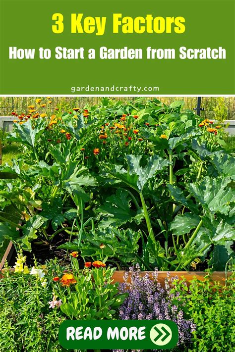 How To Start A Garden From Scratch 3 Key Factors