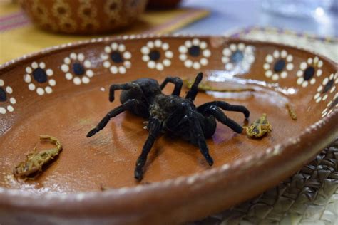 Tarantula Frita