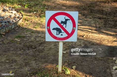 68 No Dog Pee Sign Stock Photos High Res Pictures And Images Getty