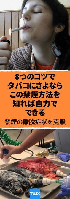 保存的加療編 神戸市三宮の大腸内視鏡なら「みつみや大腸肛門クリニック」 สุขภาพ การเรียนรู้ งานศิลปะ