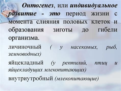 Индивидуальное развитие организмов (онтогенез) - презентация онлайн