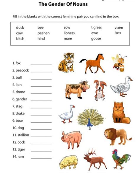 Gender Animals English Assignment Teachmint