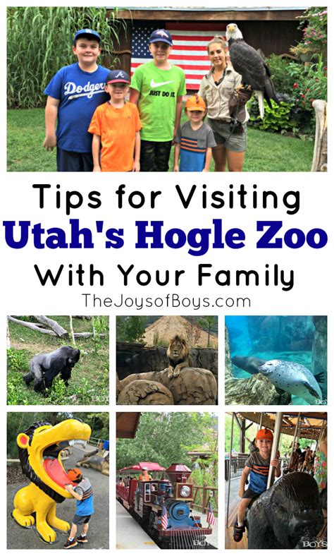 Tips for Visiting Utah's Hogle Zoo with Your Family