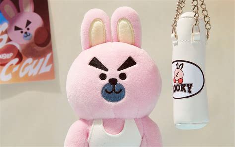 BT21 UNIVERSE COOKY