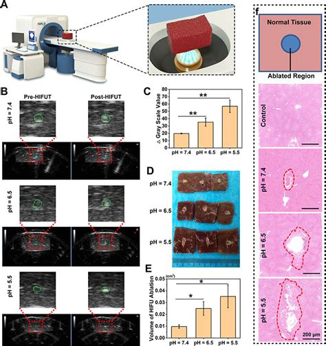 A Cytotoxicity Of Cah After Incubation With 4t1 Cells At Different