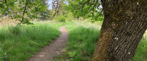 Explore Eugene: Top Hiking Trails for Every Adventurer