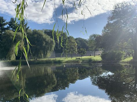 Unedited Landscape Photo Of My Local Park Shot On An Iphone Xr Im