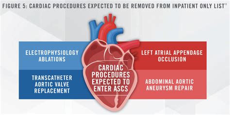 Cardiology Industry Outlook A Reviving Heartbeat Healthcare