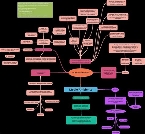 Mapa Conceptual De Los Derechos Humanos Necto Images