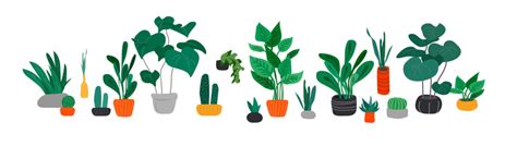 Plant Grow Cartoon Images – Browse 72,150 Stock Photos, Vectors, and Video | Adobe Stock