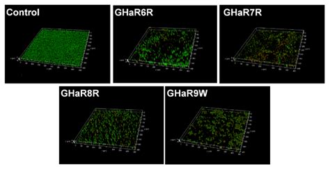 Eradicating Potential Of GHa Derived Peptides To The Mature Biofilm Of