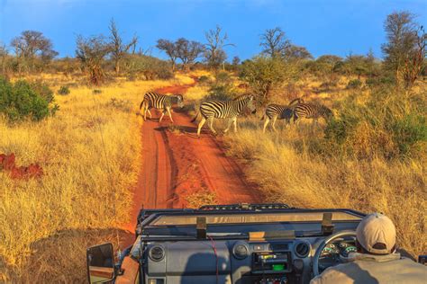 Gruppenreise Südafrika Kapstadt Rundreise Krügerpark