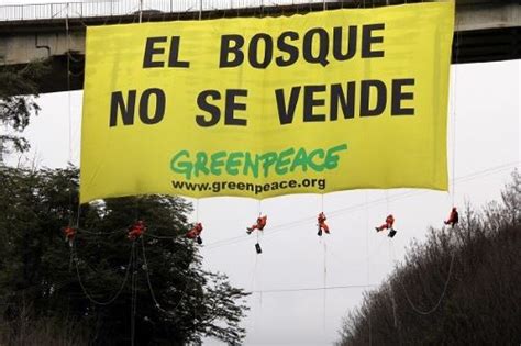 La Historia Y Actividades Actuales De Greenpeace