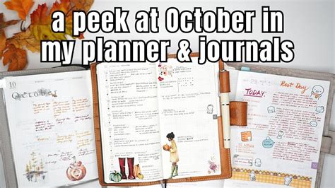 From Common Planner To Hobonichi Weeks My Journey Flip Through