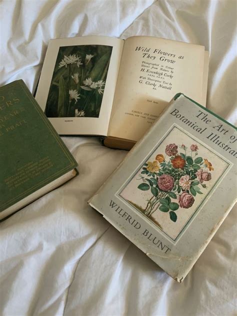 Puput On Twitter Rt Softdeiicacy Pretty Botanical Books