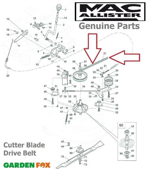 Genuine Macallister Mm66 66cm Ride On Mower Cutter Blade Belt Cgxe866b O92 Ebay