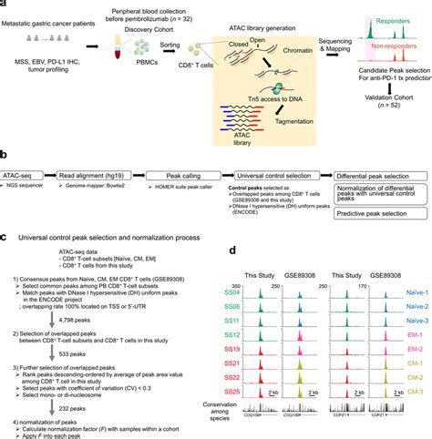 Outline Of Assay For Transposase Accessible Chromatin Using Sequencing