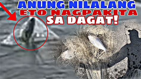 KAKAIBANG DAMBUHALANG NILALANG ANG NAGPAKITA SA AKIN BIGLA SA DAGAT