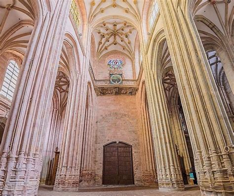 fasciculada Glosario ilustrado de arte arquitectónico