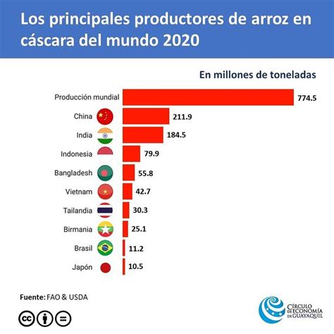 Los Principales Productores De Arroz En C Scara Del Mundo