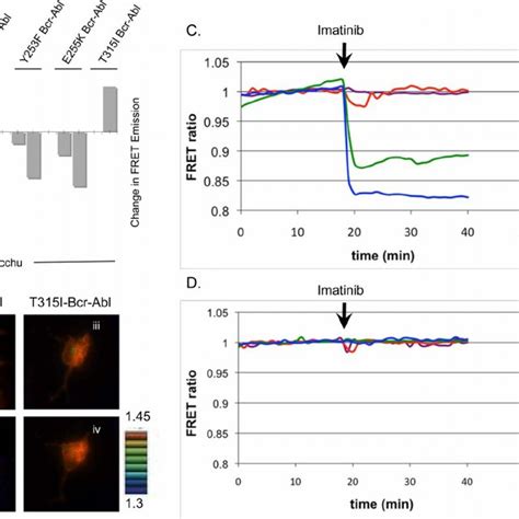 Schematic Representation Of A Generic Fret Based Biosensor For Tyrosine