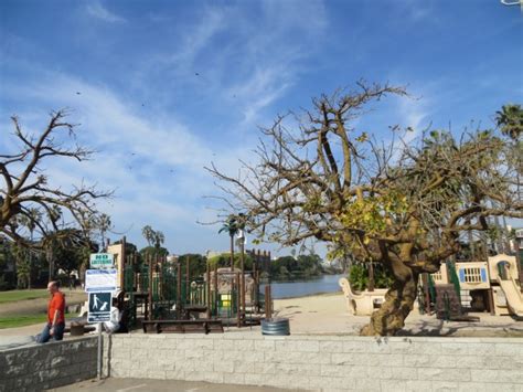 Playa Del Rey Beach in Los Angeles, CA - California Beaches