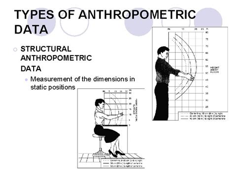 Ergonomics Anthropometry Icon