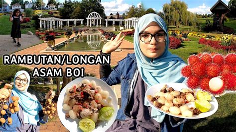 Rambutan Longan Asam Boi Di Tepi Taman Bunga Di Us View Cantik Area