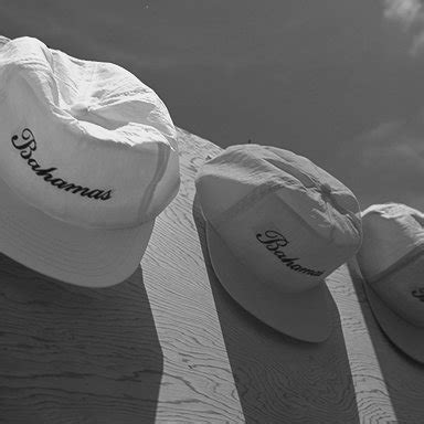 image pairs  scientific diagram