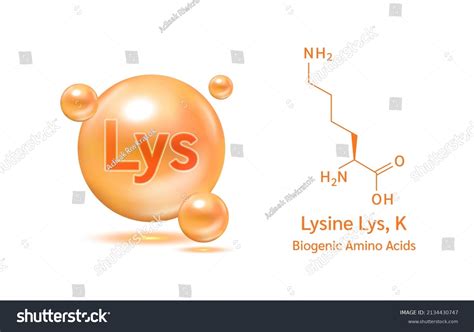 Important Amino Acid Lysine Lys K Stock Vector Royalty Free