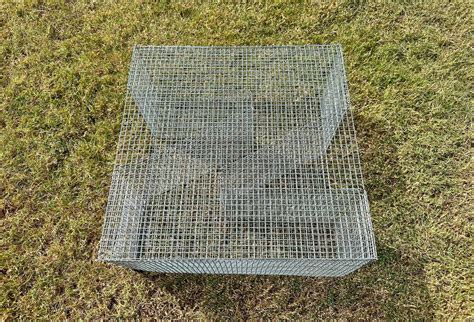 Top Bait Fish Traps Perch Bream And Pinfish Traps Reel Texas Outdoors