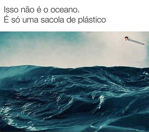 Isso não é o oceano É só uma sacola de plástico Memes