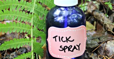 Homemade Tick Spray Recipe Natural Tick Repellent Tick Spray And