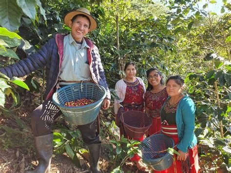 Historia Fecceg Federaci N Comercializadora De Caf Especial De