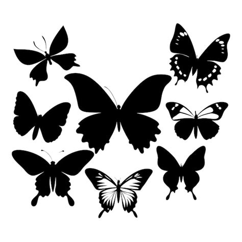 Collection Of Butterfly Silhouettes From Different Species Ensure A Variety Of Poses Such As