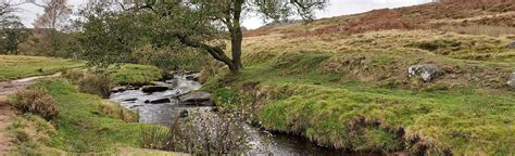 Padley Gorge Circular, Derbyshire, England - 704 Reviews, Map | AllTrails