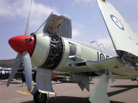 Interesting Facts About The Hawker Sea Fury British Royal Navy S Last