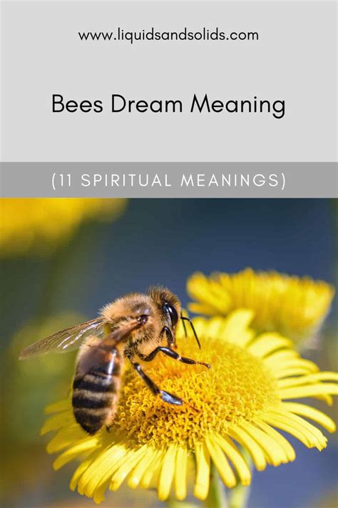 Dream About Bees Spiritual Meanings