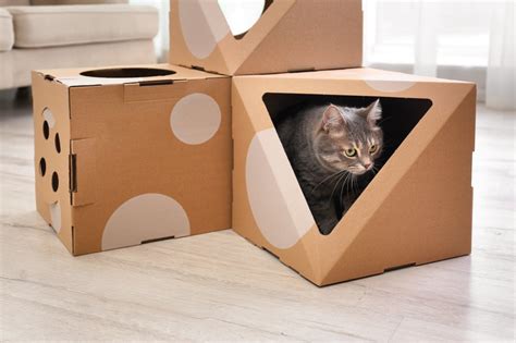 Cat Project Idea Diy Cardboard Cat House Ultimate Pet Nutrition