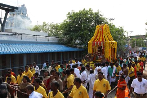 Rathotsavam Attracts Hundreds Of Devotees Ttd News