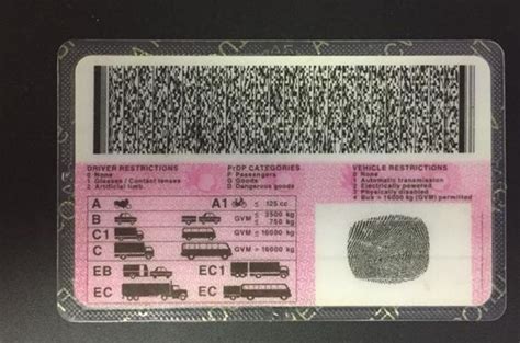 One Step Ahead Gautengs Top Spots To Renew Your Drivers License