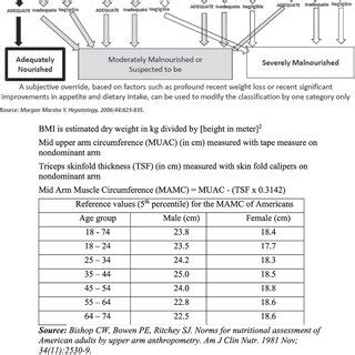 RFH-NPT (Royal Free Hospital-Nutrition Prioritizing Tool): nutritional ...