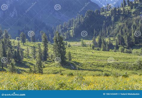 Spring View Mountain Flowering Valley Meadows Stock Image Image Of