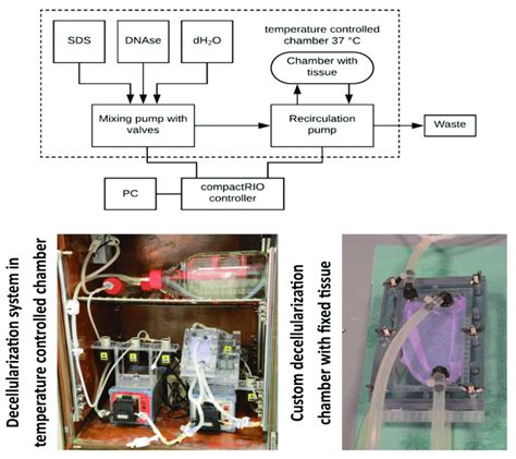 Schematic Image Of The Decellularization System Top And Its
