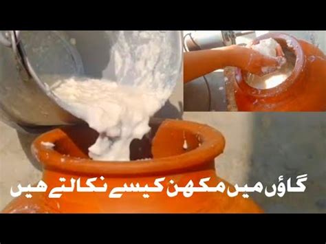 How To Make Pure Cow Ghee In Village Style How To Make Butter At