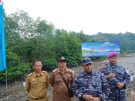 Hari Mangrove Sedunia TNI AL Lanal 3 Lampung Tanam 5000 Bibit Mangrove